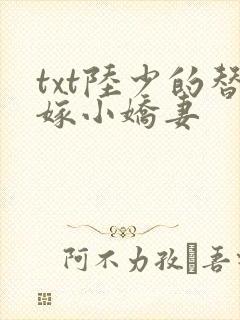 txt陆少的替嫁小娇妻
