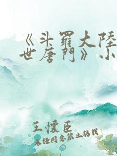 《斗罗大陆2绝世唐门》小说