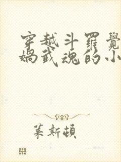 穿越斗罗觉醒女娲武魂的小说