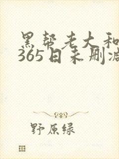 黑帮老大和我的365日未删减