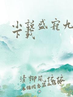 小说盛宠九皇妃下载