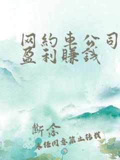 网约车公司怎么盈利赚钱