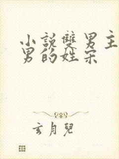 小说双男主一个男的姓宋