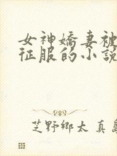 女神娇妻被无赖征服的小说