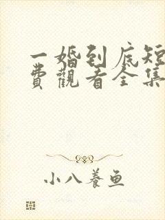 一婚到底短剧免费观看全集高清