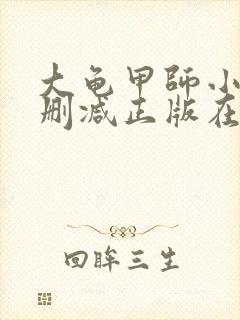 大龟甲师小说无删减正版在线阅读