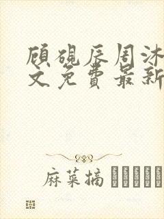 顾砚辰周沐晚全文免费最新章节更新时间
