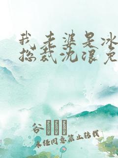 我老婆是冰山女总裁沈浪免费阅读