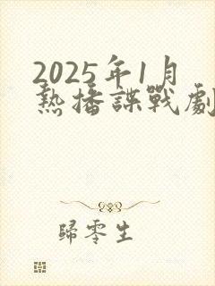 2025年1月热播谍战剧