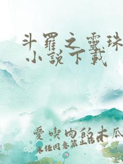 斗罗之灵珠神剑 小说下载