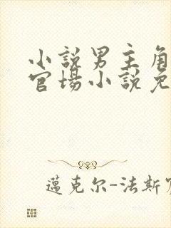 小说男主角程竹官场小说免费阅读