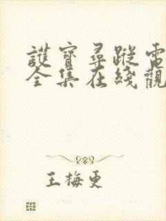 护宝寻踪电视剧全集在线观看免费播