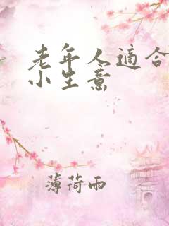 老年人适合干的小生意