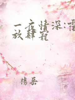 一夜情深:霍少放肆宠