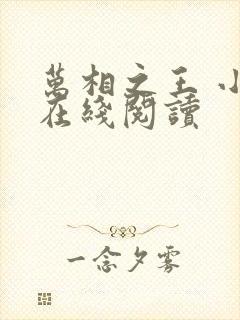 万相之王 小说在线阅读