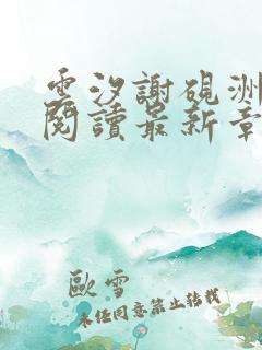 云汐谢砚洲免费阅读最新章节