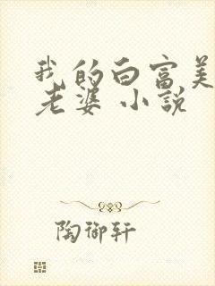 我的白富美总裁老婆 小说