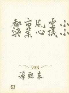 都市风云小说乔梁叶心仪小说