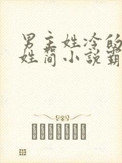 男主姓冷的女主姓简小说霸道总裁