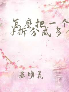 怎么把一个pdf拆分成多个文件