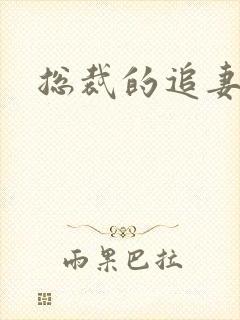 总裁的追妻之路