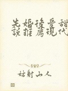 先婚后爱甜文小说推荐现代言情