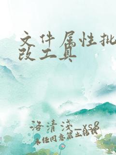 文件属性批量修改工具