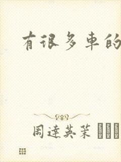 有很多车的小说