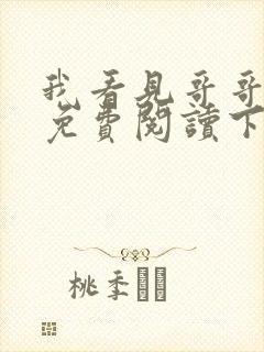 我看见哥哥小说免费阅读下载