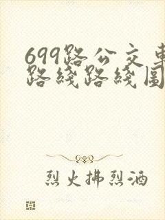 699路公交车路线路线图