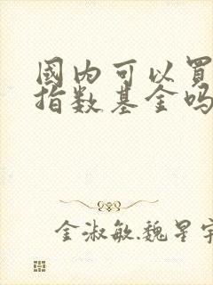 国内可以买美股指数基金吗