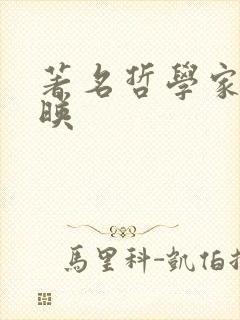 著名哲学家陈嘉映