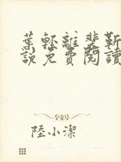 叶轻离裴靳墨小说免费阅读无弹窗