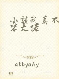 小说我真不是女装大佬