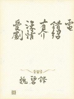 爱没有错电视剧剧情介绍