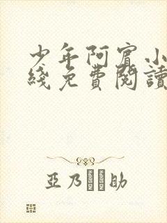 少年阿宾小说在线免费阅读