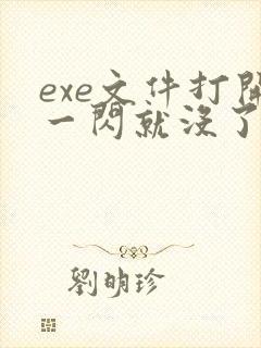 exe文件打开一闪就没了