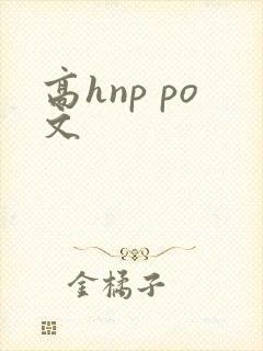 高hnp po文