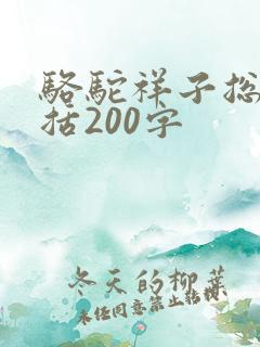 骆驼祥子总结概括200字