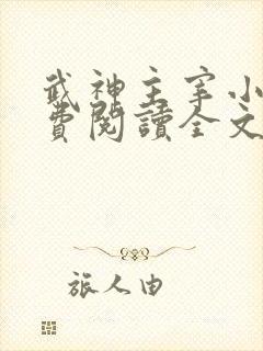 武神主宰小说免费阅读全文无删减