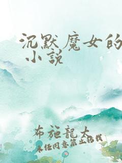 沉默魔女的秘密 小说