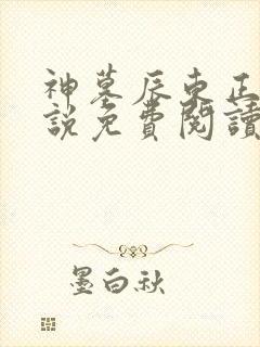 神墓辰东正版小说免费阅读