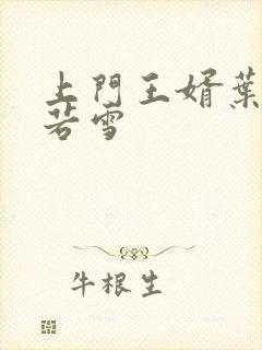 上门王婿叶凡唐若雪