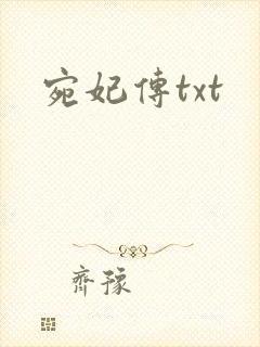 宛妃传txt