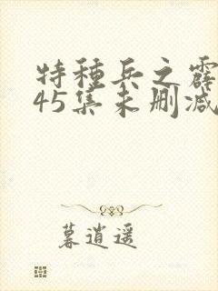 特种兵之霹雳火45集未删减版