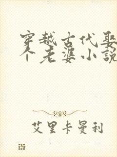 穿越古代娶了三个老婆小说