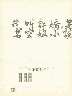我叫许娇,是一名空姐小说