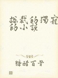 总裁的独宠甜妻的小说