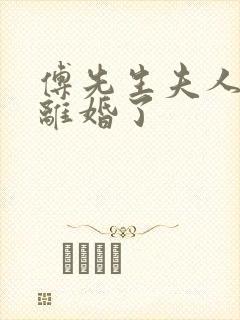 傅先生夫人又闹离婚了