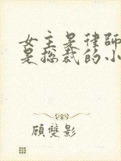 女主是律师男主是总裁的小说